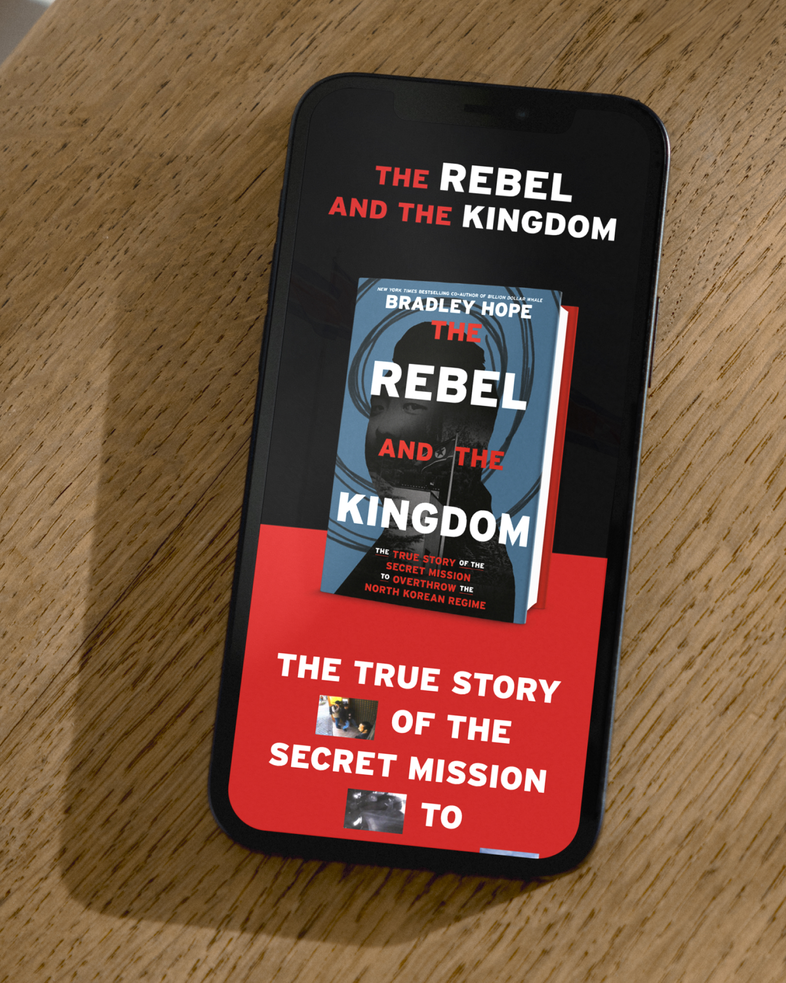 The Rebel and the Kingdom